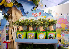 Hoe leuk voor de kleintjes?