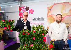 Jaap Stelder en Martijn Kuiper van Agriom waar vooral de Mandevilla in de spotlights stonden