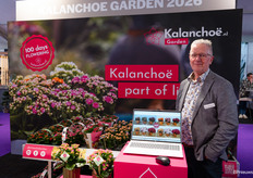 Peter Rodenrijs van Kalanchoe.nl laat zien hoe ze zeker 100 dagen bloeien.