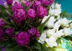 Kurkuma van KP Holland