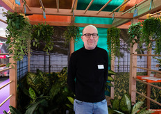 Kees Kuiper van Elstgeest potplanten met hun Dieffenbachia, assortiment aan hangplanten en Ludisia