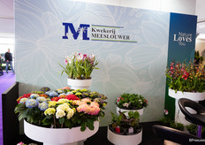 Uitgebreid assortiment van Kwekerij Meeslouwer