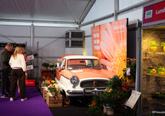 In een stand van kwekerij Martin van der Velden is een mooie auto niet te missen