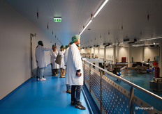 En heel interessant om te zien hoe ze hier te werk gaan