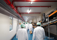 De sierteeltsector kan ook nog leren van de geavanceerde interne logistiek bij Van Gelder