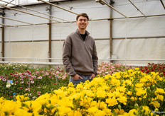Gijs Laan is sinds 1 maart werkzaam bij Green Works, de veredelaar van de Ranunculus