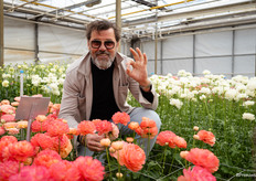 Cock van der Hoorn van Coloriginz