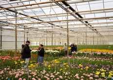 Een kijkje in de kleurrijke kas