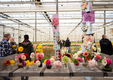 Alle variëteiten bij elkaar