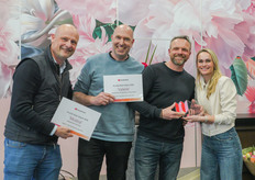 In de categorie Import Roos gaat de eerste prijs naar Snowstorm van Mt Kenya (Foto: Keukenhof)