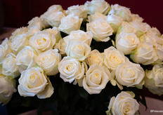 Snowstorm+ van Mt Kenya