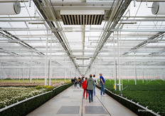 Het 270 meter lange betonpad midden in de kas