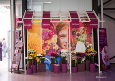 LMC is mede-oprichter van Zentoo