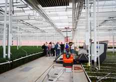 Ook tussen de bloemen zelf wordt veel genetwerkt