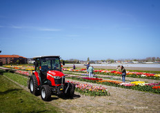 Ook een prachtig proefveld bij JUB Holland waar de nodige foto's gemaakt worden