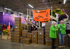 Van deze kratjes zijn er in totaal 6000 gevuld met bloemen voor het bloemencorso