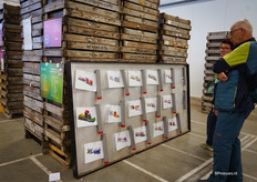 Alle wagens op een rijtje