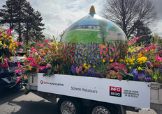 Dit bord is gemaakt van FlowerPaper, papier gemaakt van tulpenbollen.
