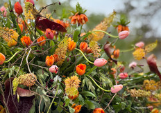 Prachtige bloemen en kleuren