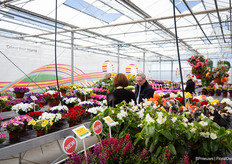 En een kas vol kleur