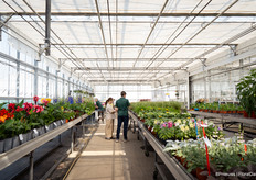 Een kijkje in de kas