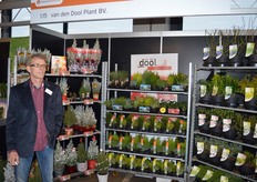Menno van den Dool van Van den Dool Planten