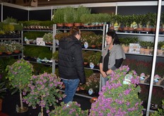 Veel toeloop op de stand van Bental BV