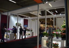 Stolk Orchids, geen onbekende in orchideeën land, was met een flinke stand nadrukkelijk aanwezig op de beurs