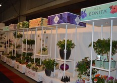 De verschillende kwekers van Forever Plant