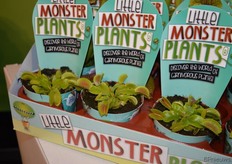 Een van de noviteiten op de beurs: de nieuwe productlijn van Carni Flora, kweker van vleesetende planten.