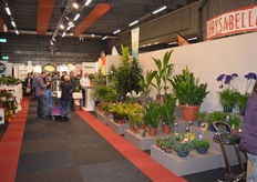 In het pad van Green Sales trof men allerlei soorten planten aan. In principe kan iedere kweker zich bij Green Sales aansluiten, zoals die maar producten voert die een ander in de groep nog niet heeft.