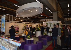 Een overzicht van het Decorum plein.