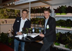 Ronald Vijverberg en Joeri Westhoff van Gebroeders Valstar, een kweker gespecialiseerd in de plant Calathea.