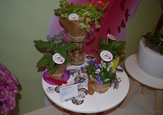 Een andere nieuwkomer: eetbare bladeren van Bloombites - nu ook te krijgen mét en aan de plant.