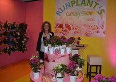 Leandra de Boef van Rijnplant. De stand doet misschien zoet aan, maar dat kan ook niet anders als de planten onder het concept Candy Store vermarkt worden!