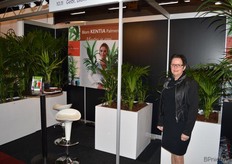 Mieke Buis van Blom Kentia Palmen