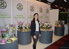 Annelene Weerheim van De Vreede Orchideeën. GO Global Orchids Collection is het merk waaronder het bedrijf verschillende rassen phalaenopsis op de markt zet.