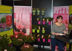 Inge de Clercy van plantenkwekerij VDW uit Lokeren, België.