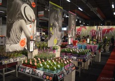 Het concept More Lips van Flora Planet - je kon er niet omheen