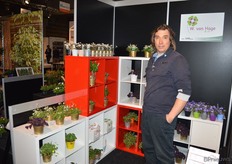 Nils van Hage, van de gelijknamige kwekerij van Hage, kweekt met name klavertjevier (Oxalis). Met nieuwjaar, vertelde van Hage, kopen al onze bijgelovige oosterburen massaal klavertjesvier.