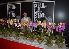 Addie Groen van Phalaenova. De kweker focust zich nadrukkelijk op het hogere segment en had in de stand een 'Walk of Fame' met de meest exclusieve soorten gebouwd.