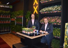 De heren Richard Visser en Erik Hill van Sjaloom Potplantenkwekerij.