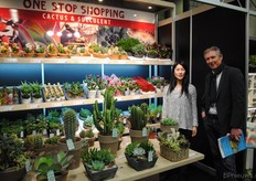 Joenie van der Vliet van Cactus- en Succulentkwekerij Ubink krijgt bezoek van Ton Kester, bloemkweker en initiator van de Kas-stand in de Markthal Rotterdam.