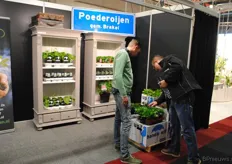 Bij De Liesvelden, uit Poederoijen, wordt druk gepraat over de Helleborussen en de andere producten in het assortiment.