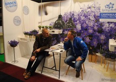 En ook over de Campanula Spring Bell is genoeg te bespreken