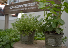 De Dgrade van Desch Plantpak.