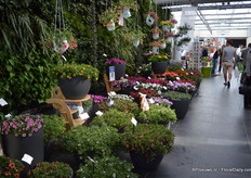 De Noviteiten van Florensis.