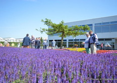 Bij Florensis buiten.