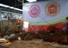 The San Fransisco is toegevoegd aan de Begonia boliviensis collectie. Deze begonia is warmte en regen bestendig en bloeit in verschillende landen, van Florida tot Siberie.