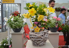 The Opale van DHM. In 2011 kreeg deze plant de beste innovatie prijs op de IPM.